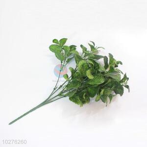 Super quality cheap mint leaf