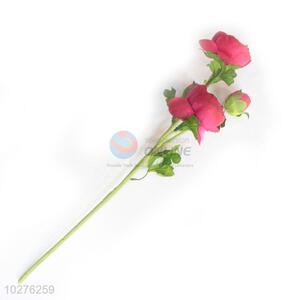 Good quality Lovely rose