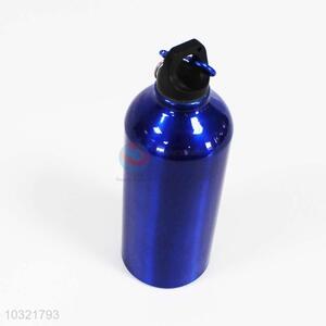 Promotional Wholesale Blue Sports Bottle for Sale