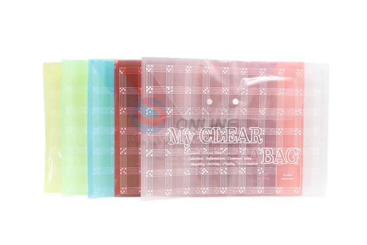 Transparent File Bag