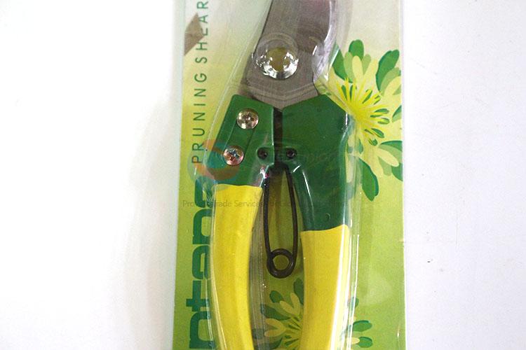 Lovely colorful pruning shears