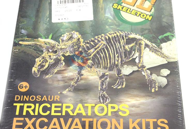 High Quality Triceratops Excavation Kits for Sale