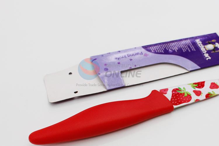 Factory OEM kitchen utensil stainless steel fruit knife