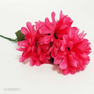 Factory Direct Plastic 5 Head Colour Crysanthemum