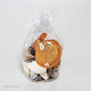 Shell/Conch Crafts Set