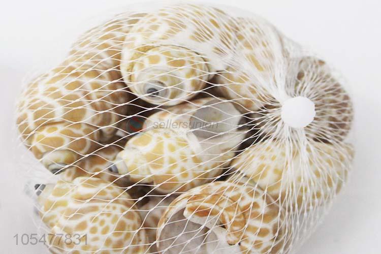 Fashion Sea Shell Best Decorative Shell/Conch Crafts
