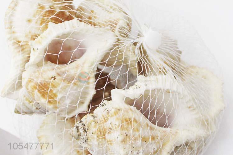 Wholesale Fashion Shell/Conch Crafts For Decoration