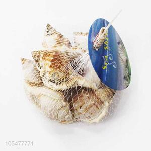 Wholesale Fashion <em>Shell</em>/Conch <em>Crafts</em> For Decoration