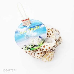 Latest Natural Sea <em>Shell</em> Best <em>Shell</em>/Conch <em>Crafts</em>