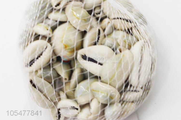 Newest Natural Sea Shell Fashion Shell/Conch Crafts Set