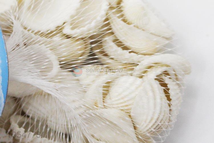 High Quality Natural Sea Shell Best Conch Crafts