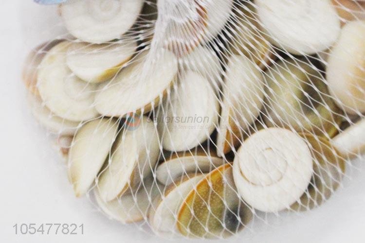 Hot Selling Natural Shell Best Shell Craft Set