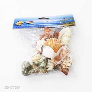 Best Selling <em>Shell</em>/Conch <em>Crafts</em> Fashion Decoration