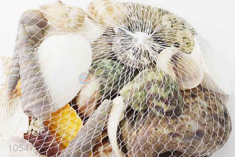 Top Quality Sea Shell Fashion Shell/Conch Crafts