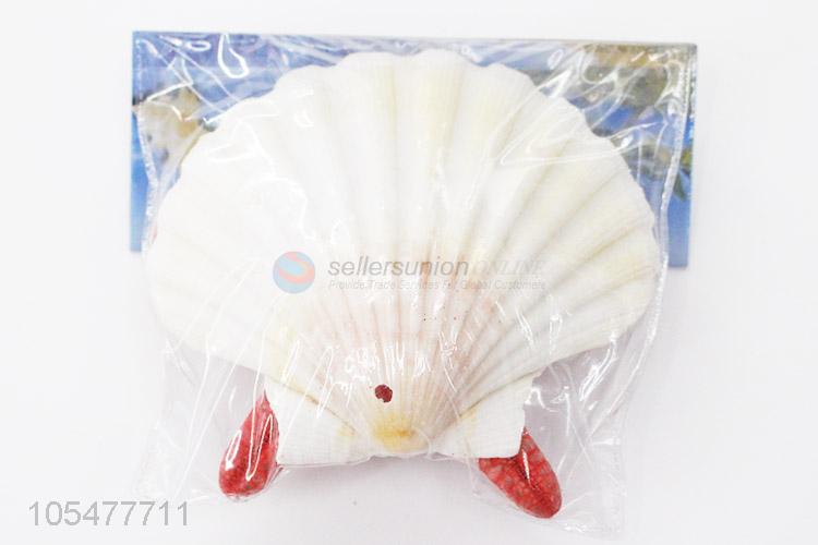 Custom Shell/Conch Crafts Fashion Ocean Shell Set