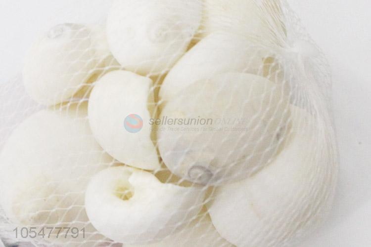 Lovely White Sea Shell Best Shell/Conch Crafts