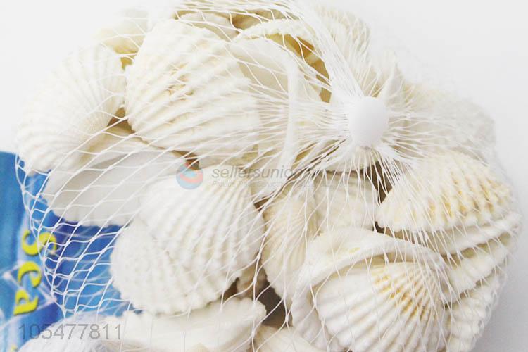 High Quality Natural Sea Shell Best Conch Crafts