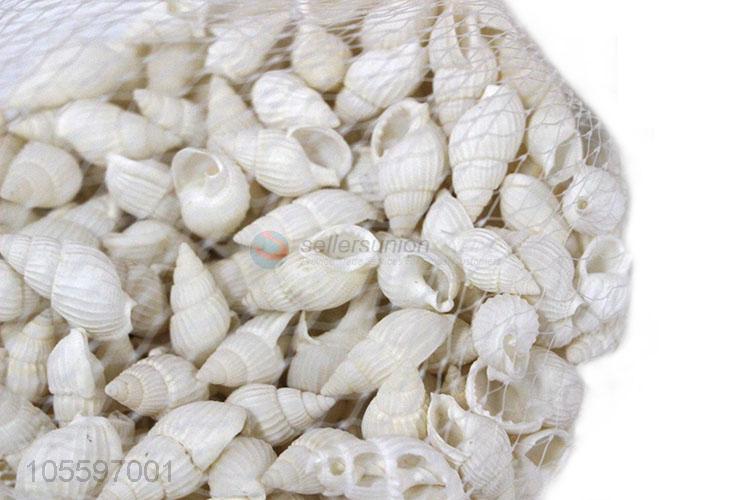 Wholesale Natural Shell Fashion Shell Craft