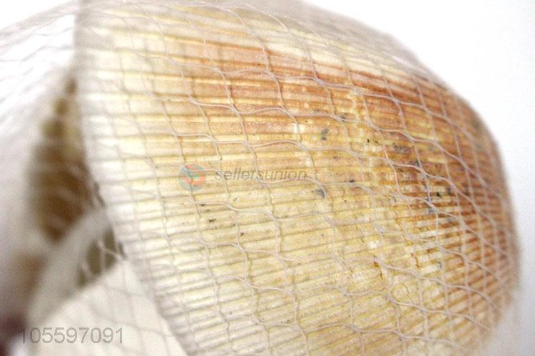 Best Sale Natural Decorative Shell Craft