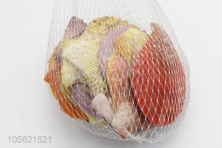 Lowest Price Sea Beach Shell Conch Seashells For DIY Crafts