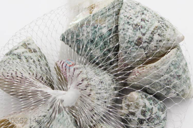 Direct Price DIY Crafts Supplies Mediterranean Shell Conch