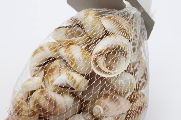 Best Sale Natural Conch Shells Aquarium Decoration