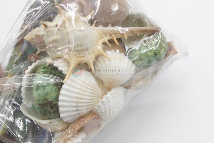 Popular Wholesale Mediterranean Style DIY Shell Crafts