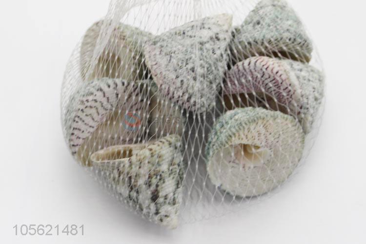 Direct Price DIY Crafts Supplies Mediterranean Shell Conch