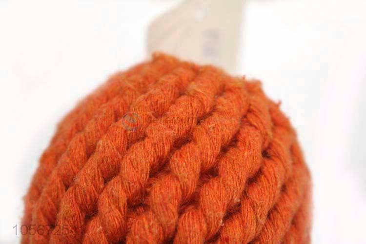 Good Sale Cartoon Weave Cotton Rope for Pet Training