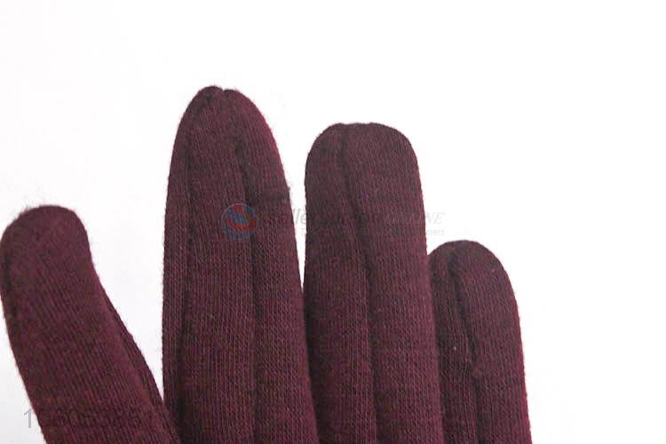 Fashion Style Velvet Lining Windproof Warm Gloves For Lady