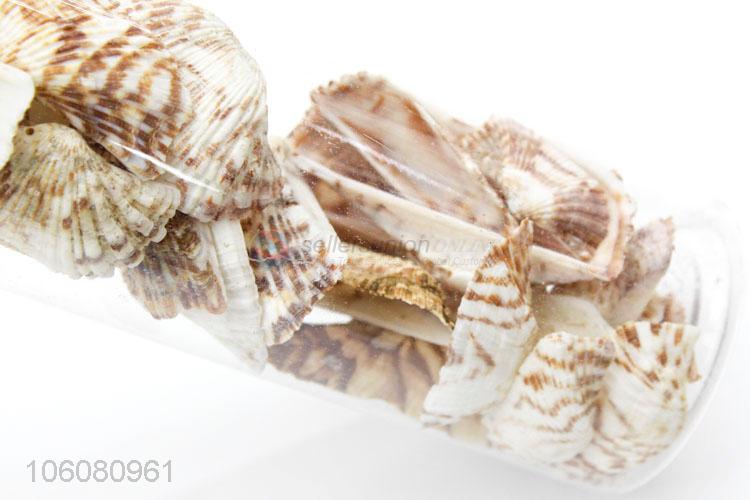 Chinese factories decorative natural crushed sea shell