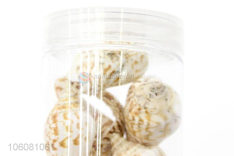 Unique design natural sea shell set best decoration