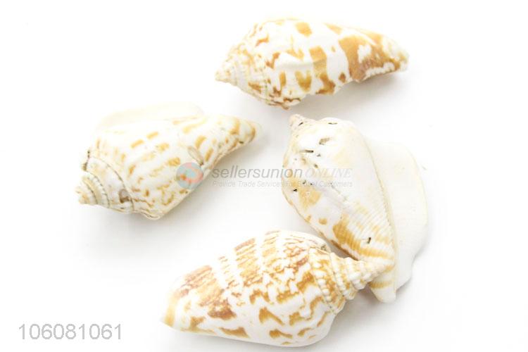 Unique design natural sea shell set best decoration