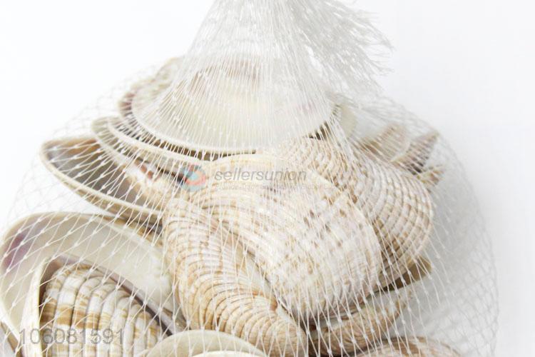 Competitive price decorative natural crushed sea shell