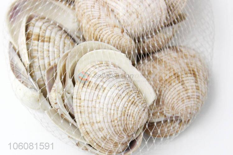 Competitive price decorative natural crushed sea shell