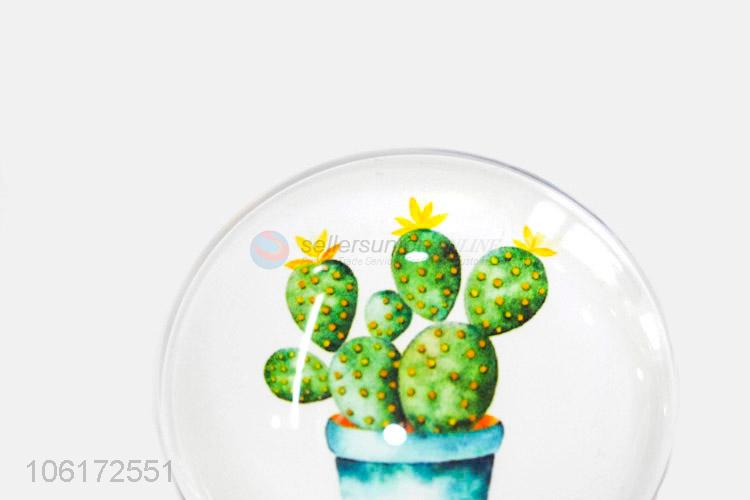 Reasonable price decorative cactus picture glass fridge magnet