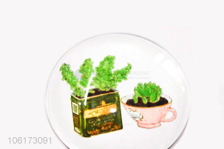 Reasonable price succulents design dome glass fridge magnet