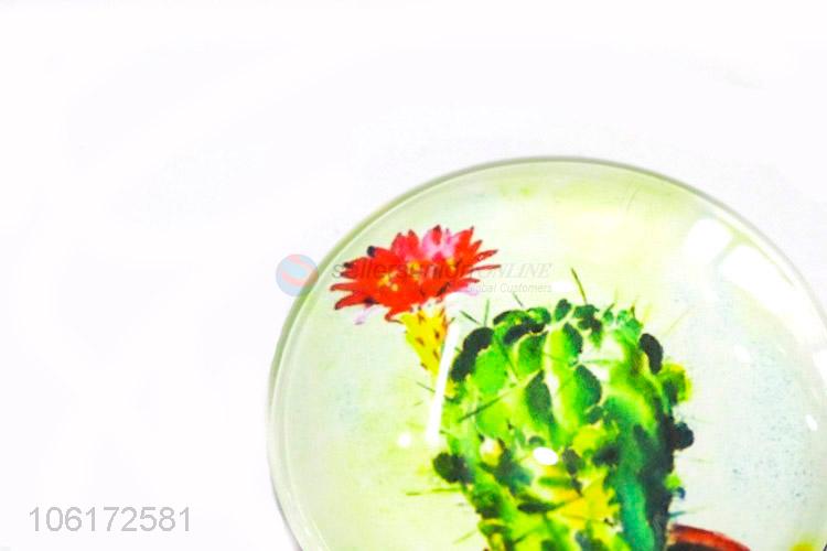 Great sales decorative cactus picture glass fridge magnet