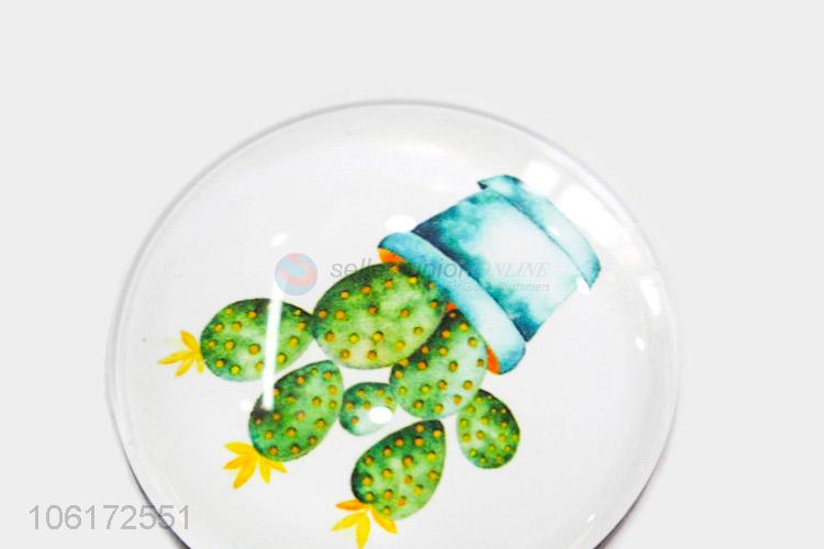 Reasonable price decorative cactus picture glass fridge magnet