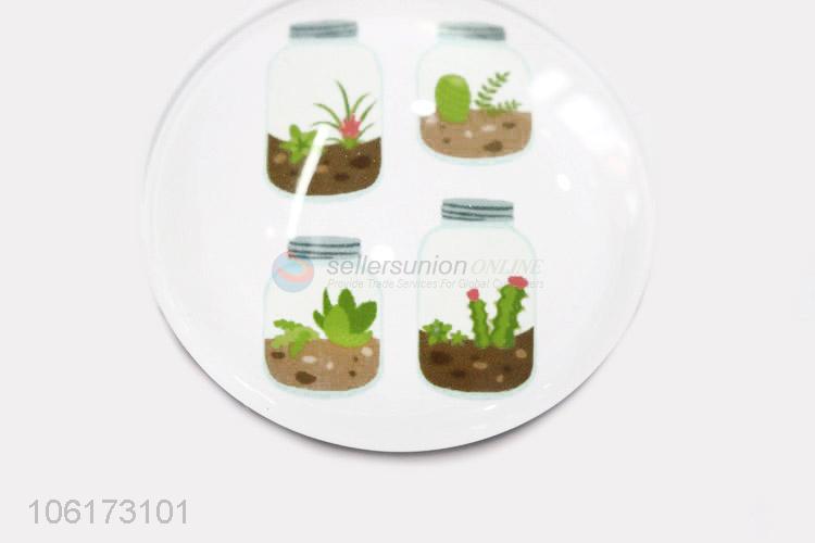 Hot sale decorative succulents picture glass fridge magnet