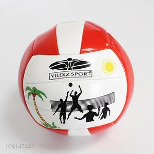 Custom Volleyball Best Beach Sports Ball