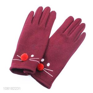 Cute Design Mirco Velvet Gloves Warm Gloves