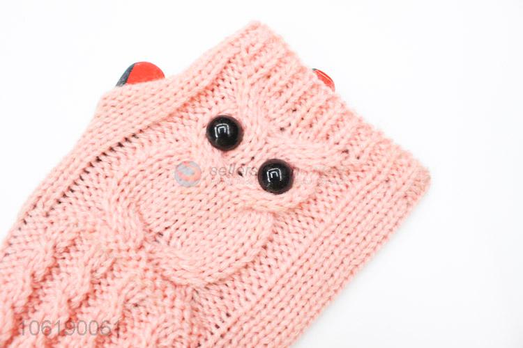 Factory Sale Women's Winter Knitted Long Sleeve Fingerless Gloves