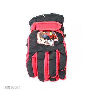 Promotional Gift Snow Winter Gloves Ski Gloves