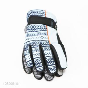 China Supply Winter Ski Snowmobile Gloves