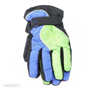 Factory Sale Winter Ski Snowmobile Gloves