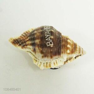 Creative Design Shells Fridge Magnet