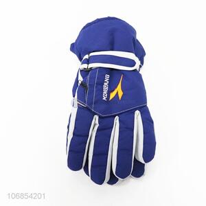 Best Sale Comfortable Skiing Gloves Sports Gloves