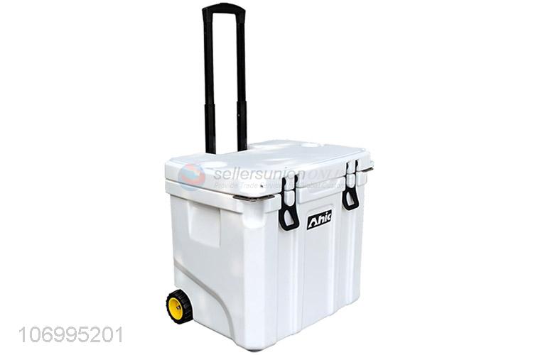 Credible quality 35L food grade enviromental material insulated box cooler box