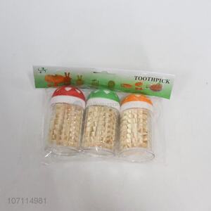 Wholesale Professional Disposable Bamboo Toothpick